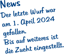 News Der letzte Wurf war am 1. April 2024  gefallen.  Bis auf weiteres ist  die Zucht eingestellt.